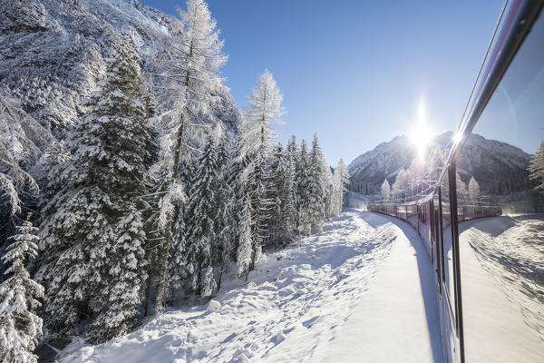 Bernina Express train passes through snowy woods, Preda Bergun, Albula Valley, Canton of Graubünden, Switzerland