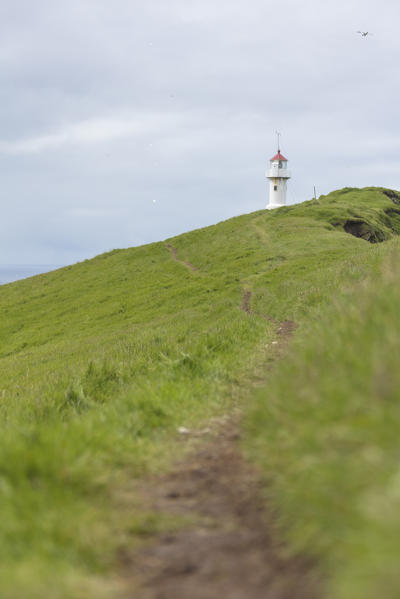 Footpath towards lighthouse on islet known as Mykines Holmur, Mykines island, Faroe Islands, Denmark