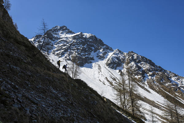 Hikers proceed with snowy peaks in the background Poschiavo Valley Canton of Graubünden Switzerland 
