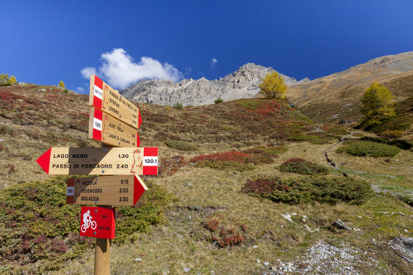 Hiking signage of Stelvio National Park, Val Vezzola, Valdidentro, Valtellina, Sondrio province, Lombardy, Italy