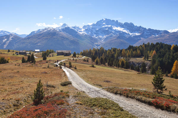 Mountain bike along the path towards Cima Piazzi, Val Vezzola, Valdidentro, Valtellina, Sondrio province, Lombardy, Italy