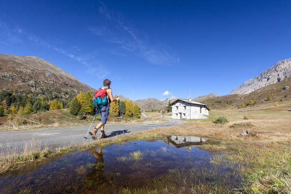 Hiker on footpath, Val Vezzola, Valdidentro, Valtellina, Sondrio province, Lombardy, Italy