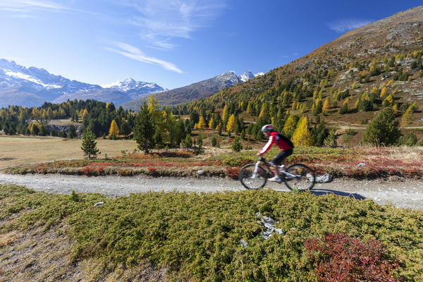 Mountain bike, Val Vezzola, Valdidentro, Valtellina, Sondrio province, Lombardy, Italy