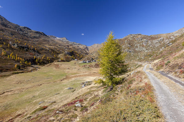 Footpath, Val Vezzola, Valdidentro, Valtellina, Sondrio province, Lombardy, Italy