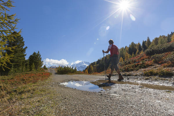 Hiker on footpath, Val Vezzola, Valdidentro, Valtellina, Sondrio province, Lombardy, Italy