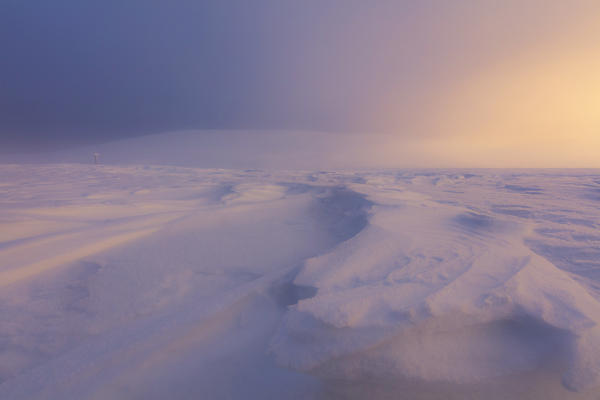 Twilight and mist on the snowy landscape, Pallas-Yllastunturi National Park, Muonio, Lapland, Finland