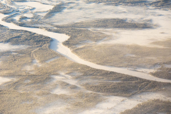 Aerial view of forest in the frozen landscape, Levi, Kittila, Lapland, Finland