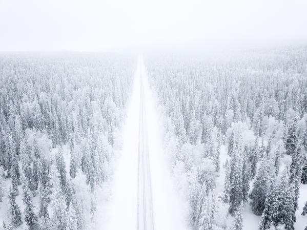 Elevated view of road along the snow covered forest, Pallas-Yllastunturi National Park, Muonio, Lapland, Finland