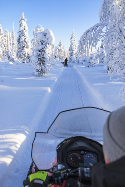 Snowmobile in the snowy woods, Kuusamo, Northern Ostrobothnia region, Lapland, Finland