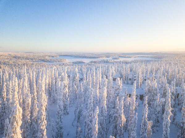 Elevated view of frozen trees and lakes at dawn, Pallas-Yllastunturi National Park, Muonio, Lapland, Finland
