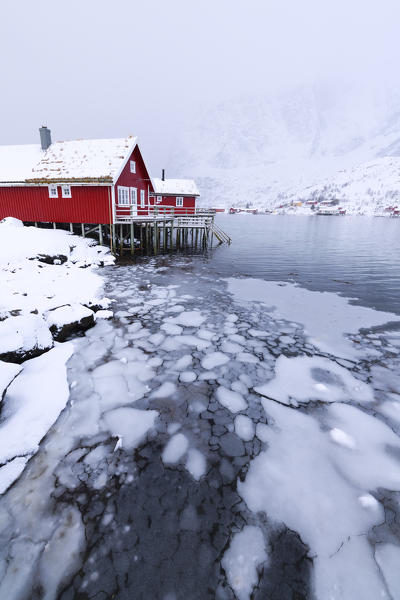 Traditional fisherman's huts (Rorbu) on the icy sea, Reine Bay, Lofoten Islands, Norway