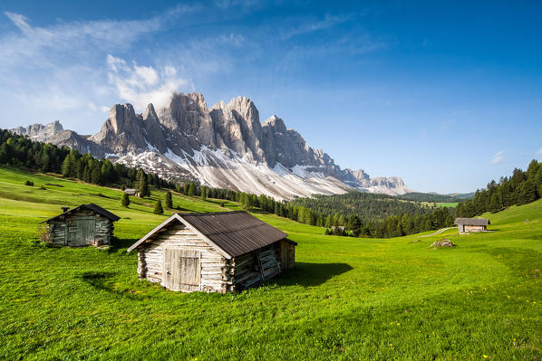 The outstanding contrast between the bright green lawns of the Malga Caseril with its typical mountain huts and the majesty of the Odle wall - Puez-Odle natural park, Dolomites, independent Province of Bolzano, Trentino Alto-Adige, Italy. Europe