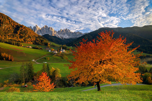 The little village of Saint Madeleine, in Funes valley during the autumn season. In the background the Odle group. - Puez-Odle natural park, Trentino Alto- Adige, Italy Europe