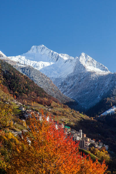 Seasonal contrast in the Bitto valley of Albaredo. On the snow-capped Azzarini mount is already wintertime, meanwhile the autumn brightness still dominates in Albaredo Valtellina, Sondrio, Lombardy, Italy Europe