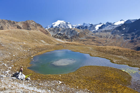 A little lake under the Umbrail peak close to the Stelvio pass overlooking the Ortles mount and the Stelvio pass in the Braulio valley. Stelvio National Park. Sondrio. Valtellina. Lombardy. Italy. Europe