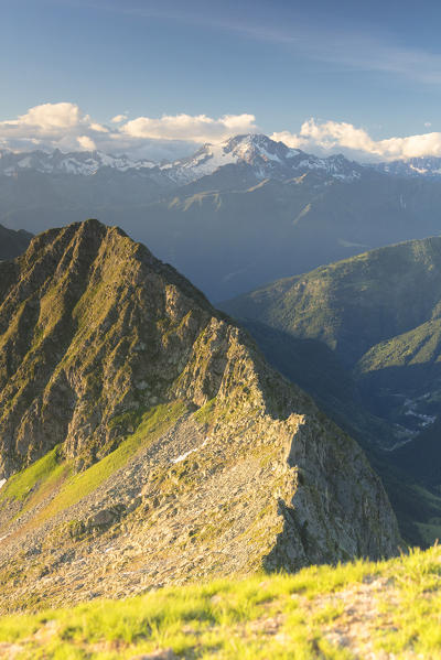 Rocky peaks of Monte Disgrazia and Monte Pedena seen from Monte Azzarini, Albaredo Valley, Orobie Alps, Lombardy, Italy