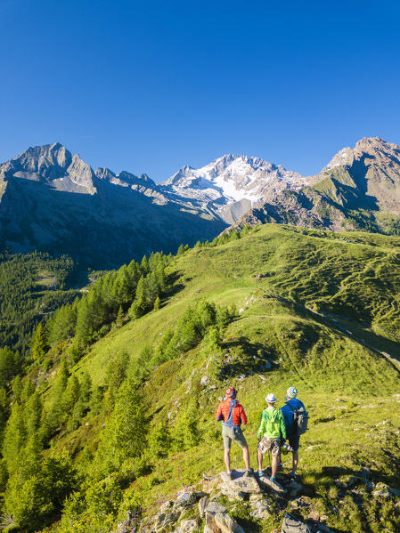 Hikers look towards Monte Disgrazia from Scermendone Alp, Sondrio province, Valtellina, Rhaetian Alps, Lombardy, Italy