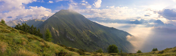 Panoramic of Monte Disgrazia and Sasso Canale from Monte Rolla, Sondrio province, Valtellina, Rhaetian Alps, Lombardy, Italy