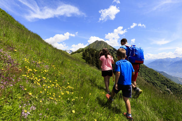 Father and sons walk on green meadows towards Alpe Bassetta, Lower Valtellina, Sondrio province, Lombardy, Italy