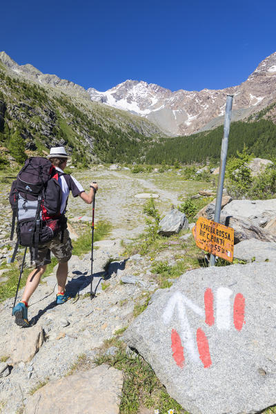 Hiker on path with Monte Disgrazia and Corni Bruciati in the background, Preda Rossa, Valmasino, Valtellina, Lombardy, Italy