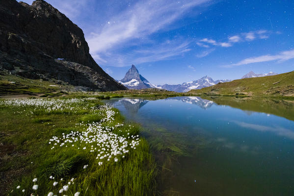 Cotton grass on the shore of lake Riffelsee with Matterhorn in the background, Zermatt, canton of Valais, Switzerland