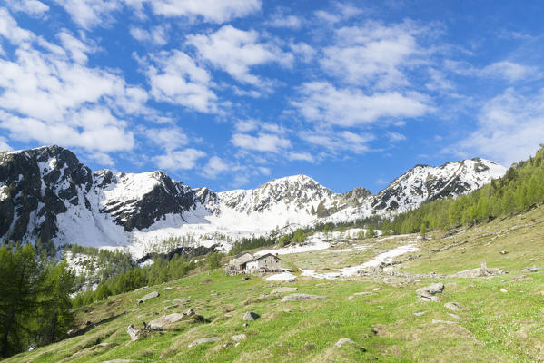 Snowy peaks and green meadows during spring, Casera di Olano, Valgerola, Valtellina, Sondrio province, Lombardy, Italy