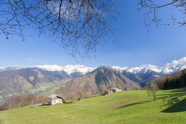 Hut on green meadows with snowy peaks in the background, Corte, Valgerola, Valtellina, Sondrio province, Lombardy, Italy