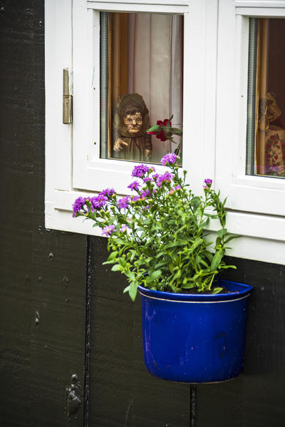 Flowerpot and ornaments of a traditional house, Mykines island, Faroe Islands, Denmark