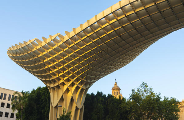 Architectural details of  the reticular shapes of Metropol Parasol designed by the German architect Jurgen Maye, made of wood and polyurethane also known as Setas de Sevilla, Plaza de la Encarnacion, Seville, Andalusia, Spain