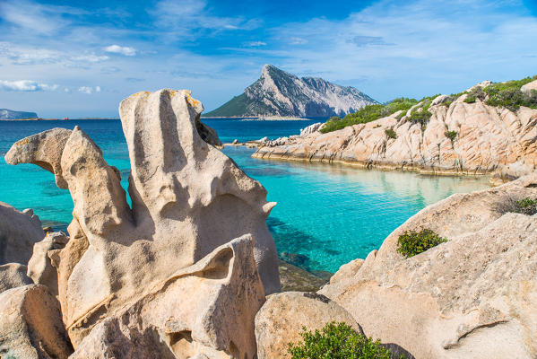 Spiaggia delle Vacche, San Teodoro, Olbia Tempio province, Sardinia, Europe.