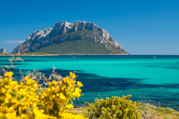Tavolara island, Loiri Porto San Paolo, Olbia, Sassari Province, Sardinia, Italy, Europe.