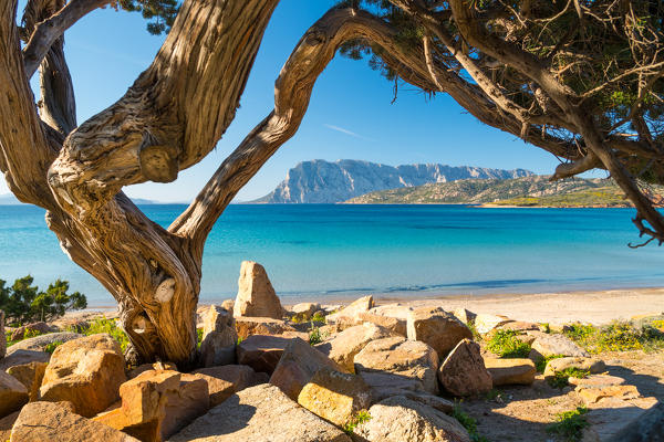 Capo Coda Cavallo beach, San Teodoro, Olbia, Sassari Province, Sardinia, Italy, Europe.