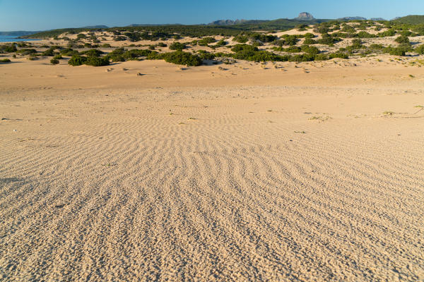 Piscinas beach, Arbus, Cagliari province, Sardinia, Italy, Europe.