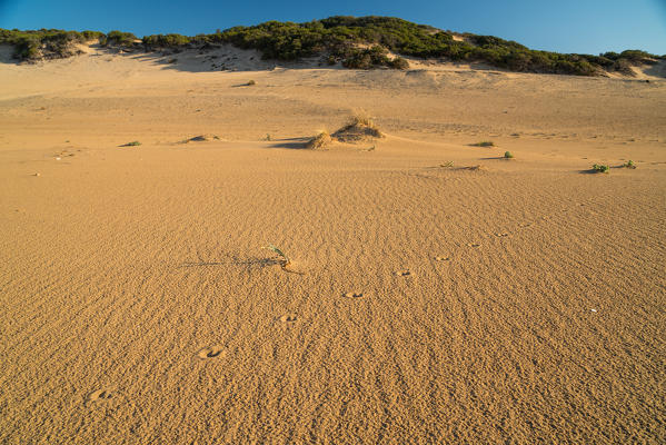 Piscinas beach, Arbus, Cagliari province, Sardinia, Italy, Europe.