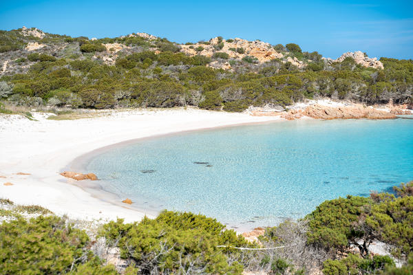 The Pink beach, Budelli island, La Maddalena, Sassari province, Sardinia, Italy, Europe.