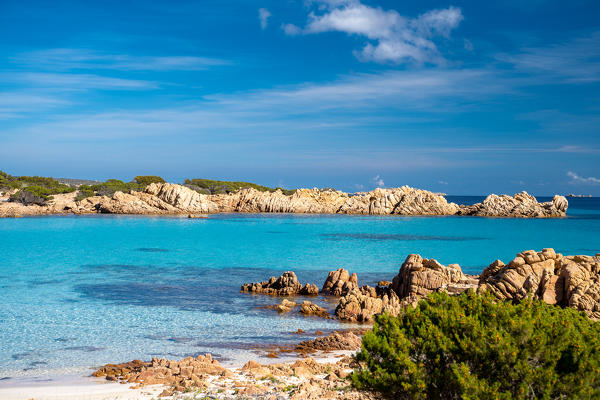 The Pink beach, Budelli island, La Maddalena, Sassari province, Sardinia, Italy, Europe.