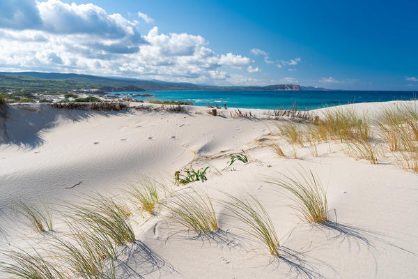 Rena Majori beach, Aglientu, Sassari province, Sardinia, Italy, Europe.