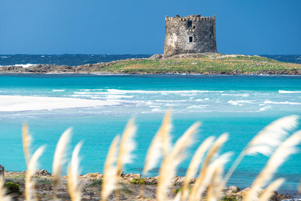 La Pelosa beach, Stintino, Sassari province, Sardinia, Italy, Europe.