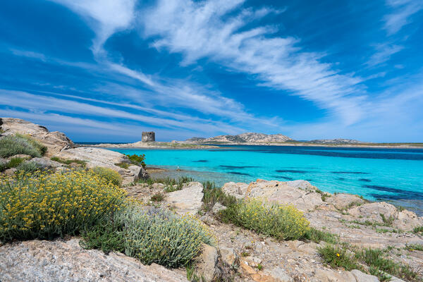 La Pelosa beach, Stintino, Sassari province, Sardinia, Italy, Europe.
