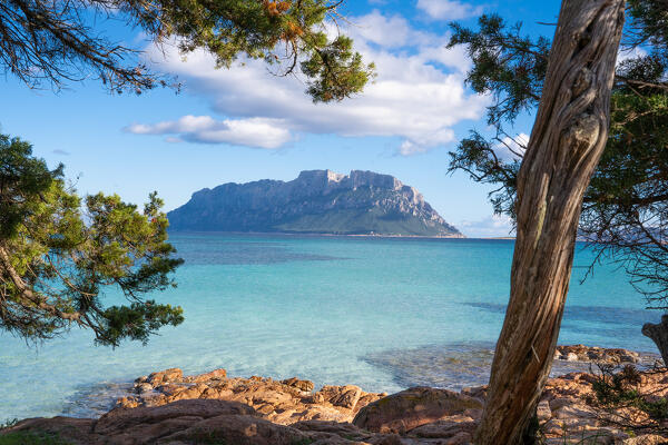 Porto Istana, Olbia, Sassari Province, Sardinia, Italy, Europe.