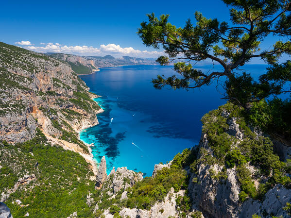 View of Cala Goloritzè from Punta Salinas, Baunei, Nuoro province, Sardinia, Italy, Europe.