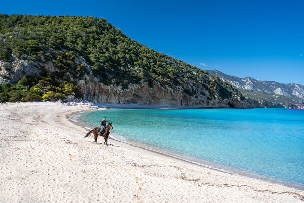 Cala Luna beach, Dorgali, Nuoro province, Sardinia, Italy, Europe.