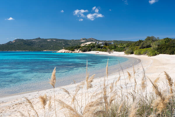La Celvia beach, Arzachena, Sassari province, Sardinia, Italy, Europe.