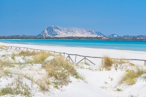 La Cinta beach, San teodoro, Sassari Province, Sardinia, Italy, Europe.