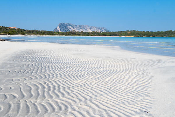 Cala Brandinchi beach,San teodoro, Sassari Province, Sardinia, Italy, Europe.