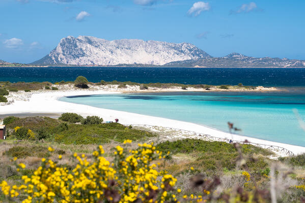 Isuledda beach, San Teodoro, Olbia Tempio Province, Sardinia, Italy, Europe.
