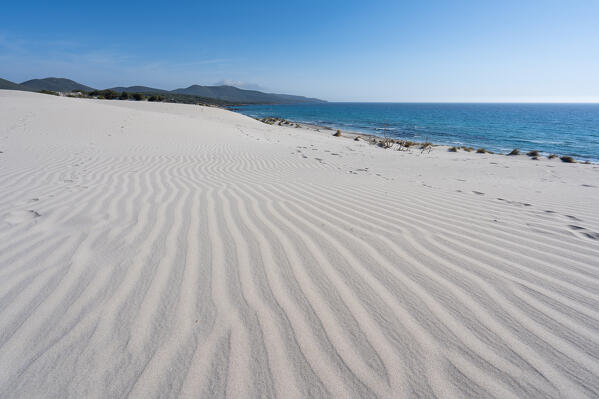 Sand dunes of Is Arenas Biancas, Teulada, Cagliari Province, Sardinia, Italy, Europe.