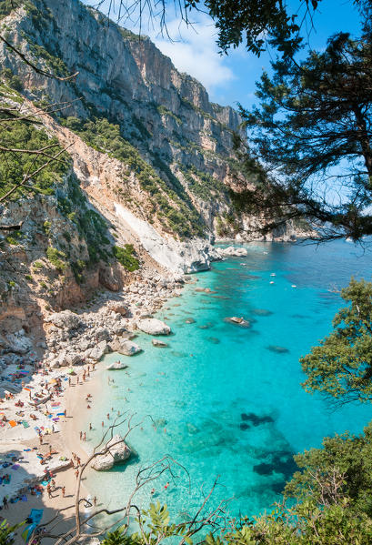 Cala Goloritzè, Baunei, Ogliastra province, Sardinia, italy, Europe.