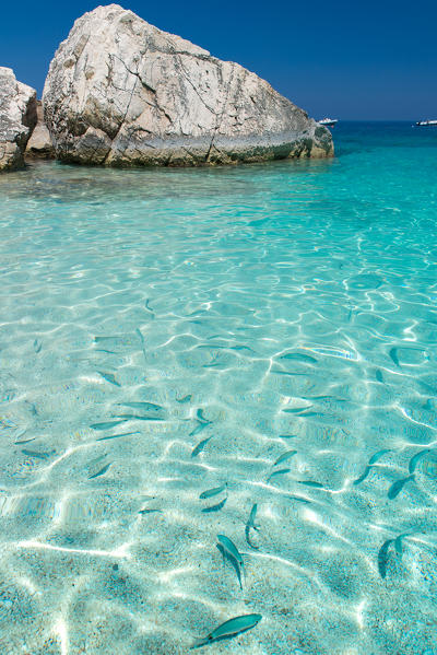 Crystalline water in Cala Mariolu beach, Baunei, Ogliastra province, Sardinia, Italy, Europe.