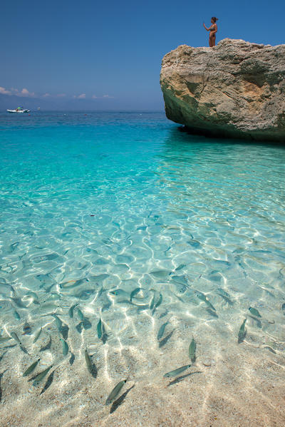 Crystalline water and fish in Cala Mariolu beach, Baunei, Ogliastra province, Sardinia, Italy, Europe.